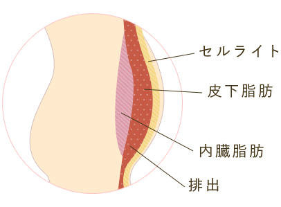 脂肪